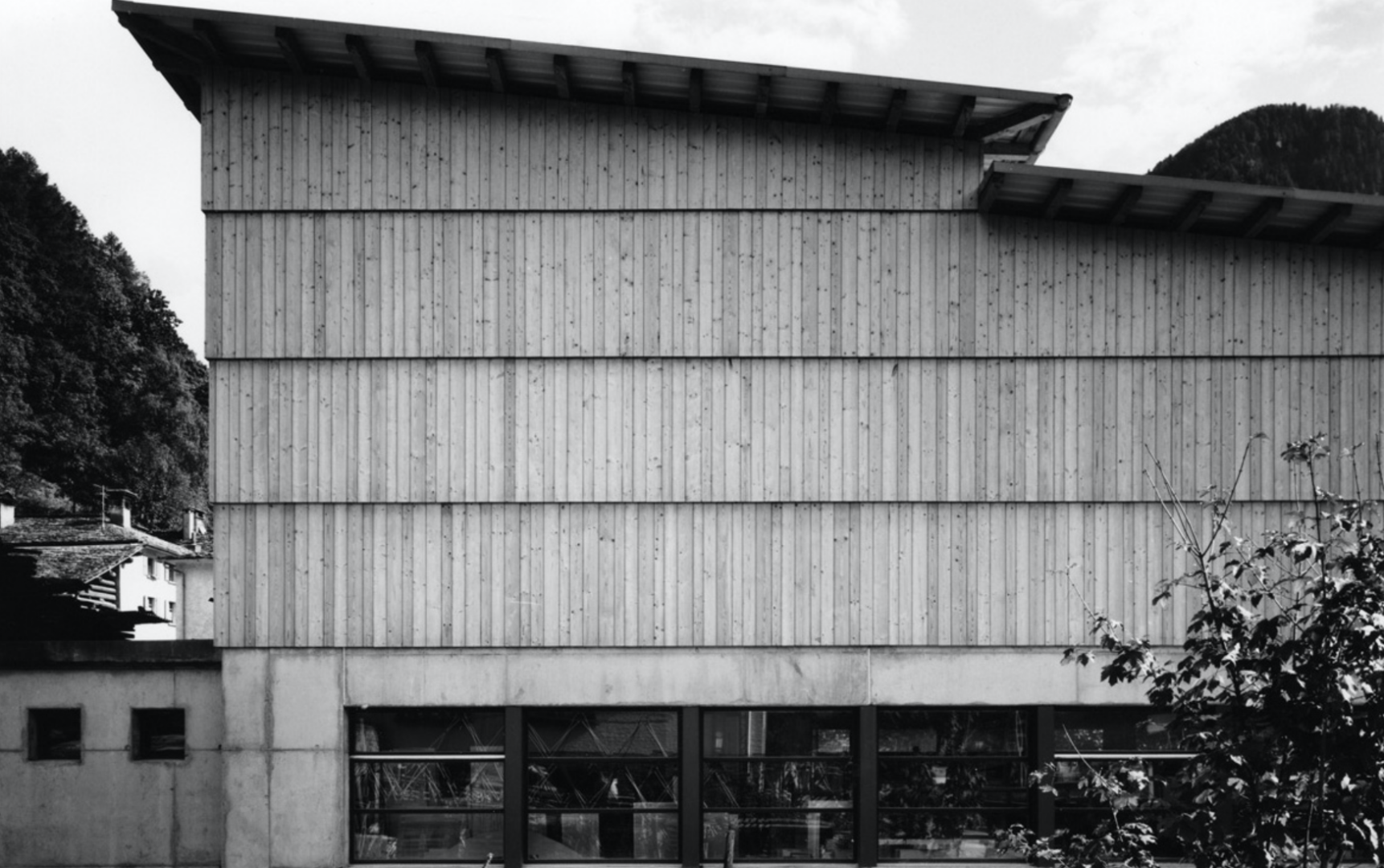 Carpenter — Fotos 1